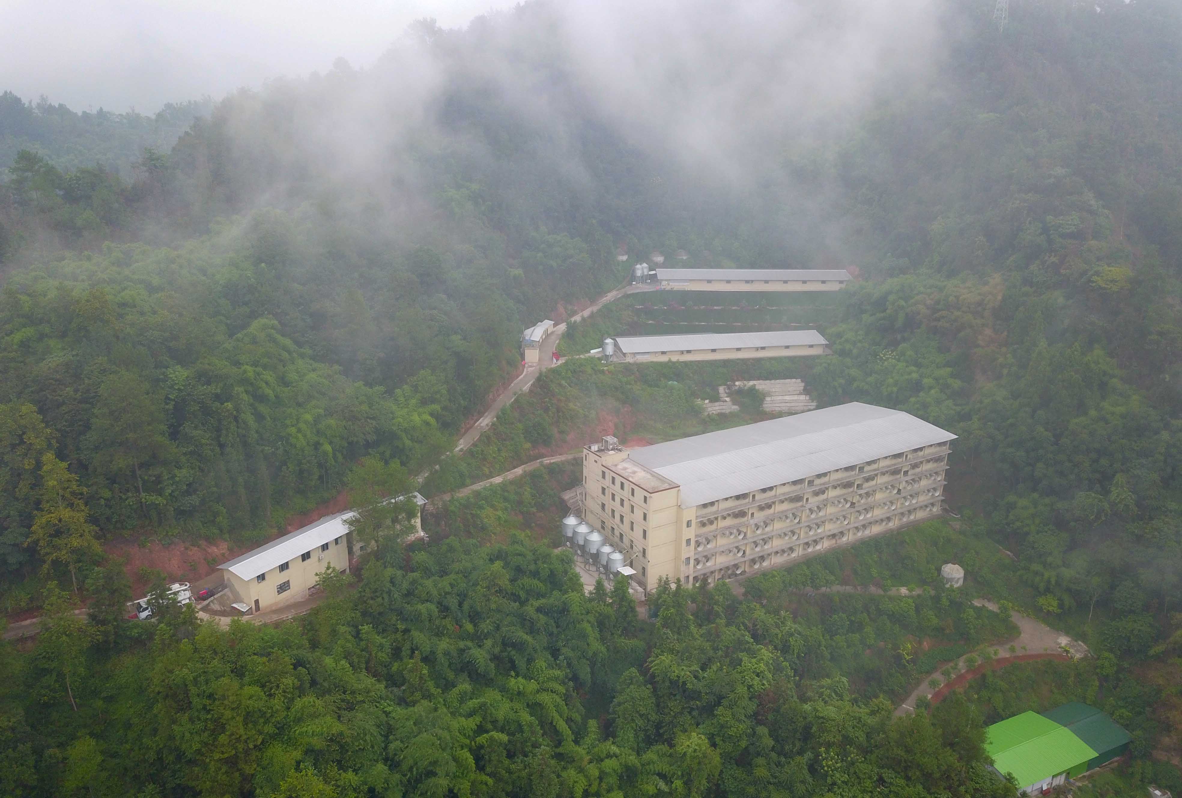 1663380902125773.jpg DJI_0060.jpg